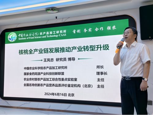 核桃产业高新科技发展研讨会暨2024中国核桃产业科技创新发展大会盛大启动