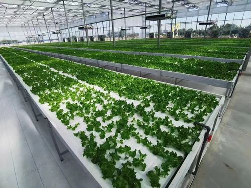 农业区的科技创新之路 农业科学研究与试验发展