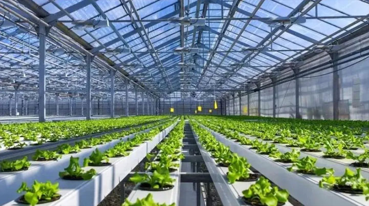 智慧农业新突破 山东省设施园艺智慧农业装备重点实验室获批成立