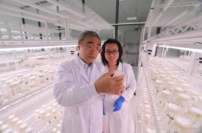 5·30来啦！河南科技工作者畅谈农业科学研究和试验发展新篇章