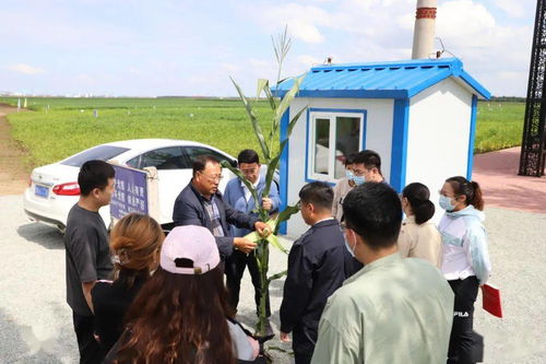 走进中国农业科学院北方大豆研究中心试验示范基地 青年大学习中的农业科技力量