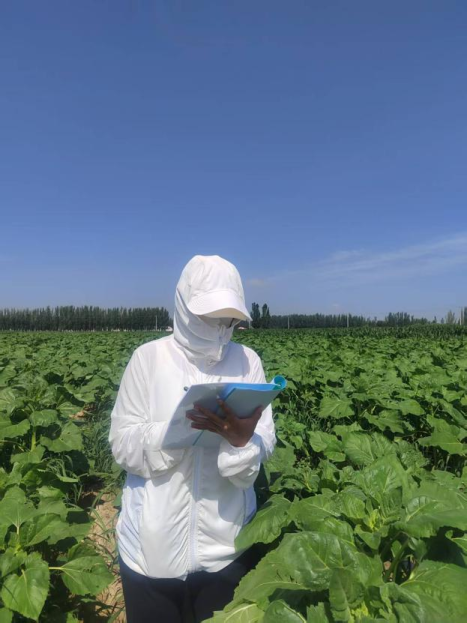 鄂尔多斯市人民政府推动农业科学研究和试验发展的战略与实践