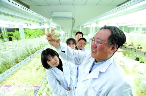 三聚焦赋能区域全面振兴 农业科研与试验发展的关键路径