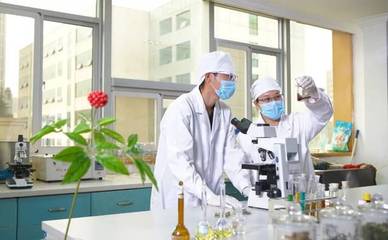 龙润药业荣获2018年度云南省科学技术进步奖三等奖，彰显农业科研创新实力