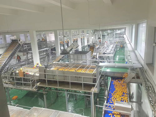 农发行忠县支行加大农业科技投放力度，助力企业高质量发展