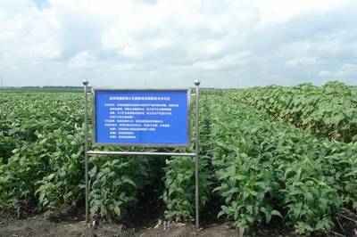 广东省加大国家农业科研项目扶持力度，推动农业科技发展